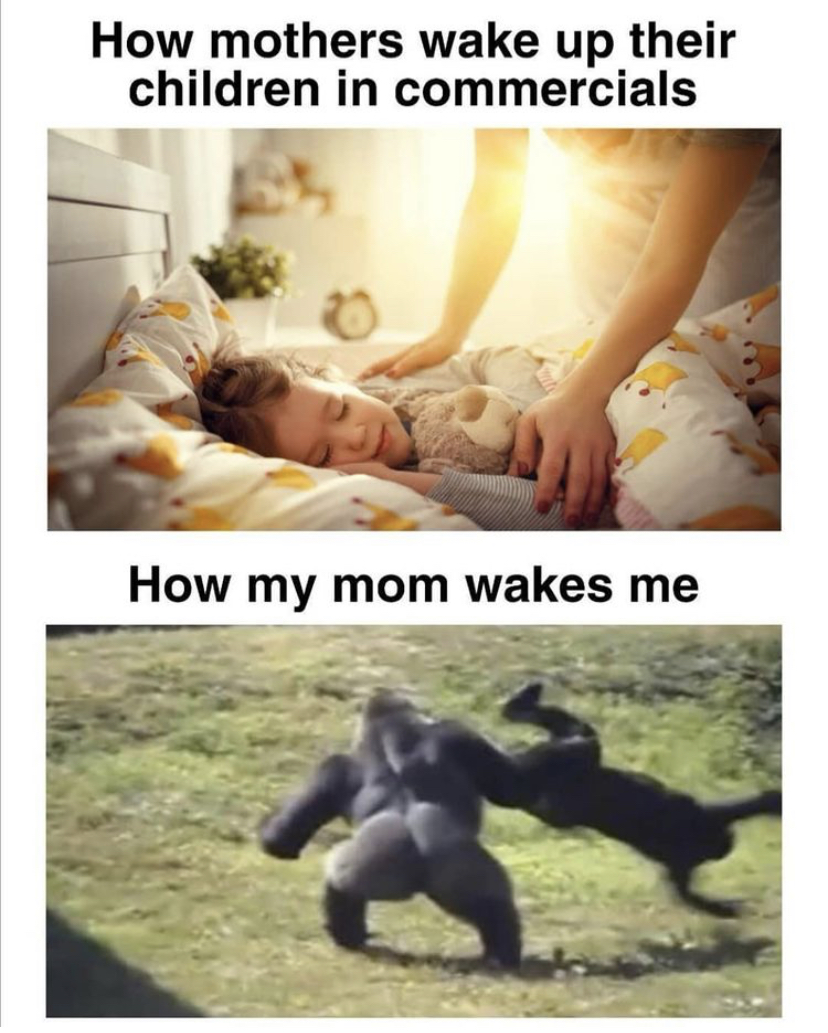 funny memes - How mothers wake up their children in commercials How my mom wakes me