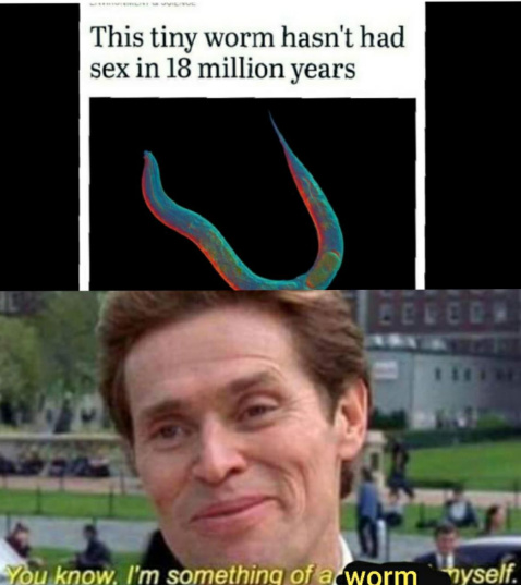 norman osborn - This tiny worm hasn't had sex in 18 million years Eeeeee You know, I'm something of a worm hyself.
