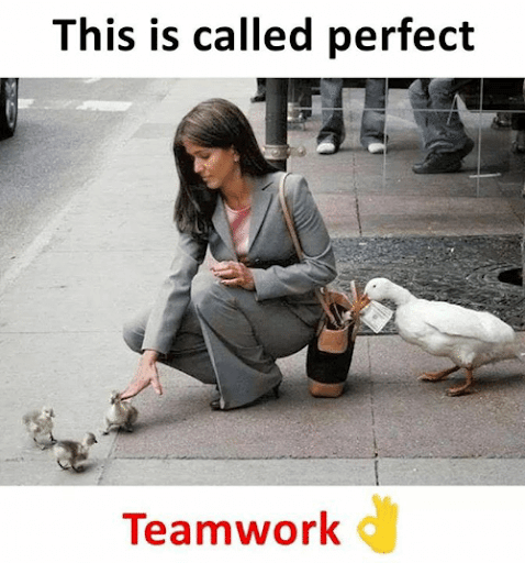 27 Memes About Teamwork That You Can't Lift On Your Own