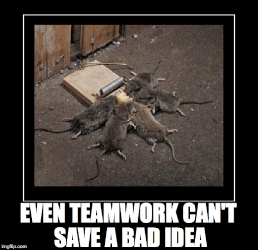 teamwork-memes-fauna - Even Teamwork Cant Save A Bad Idea imgflip.com