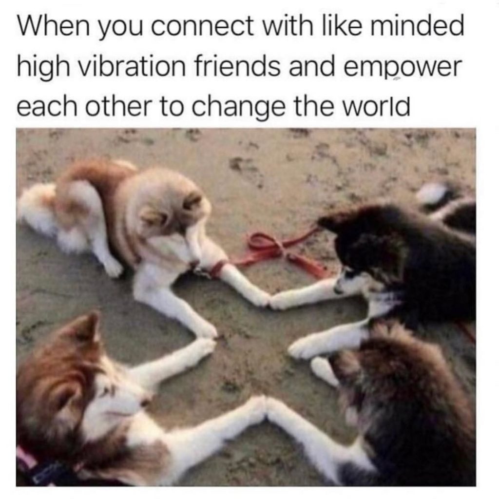 teamwork-memes-team work memes - When you connect with minded high vibration friends and empower each other to change the world