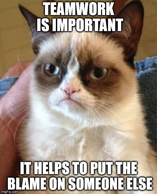 teamwork-memes-grumpy cat customer service - Teamwork Is Important It Helps To Put The Blame On Someone Else imgflip.com