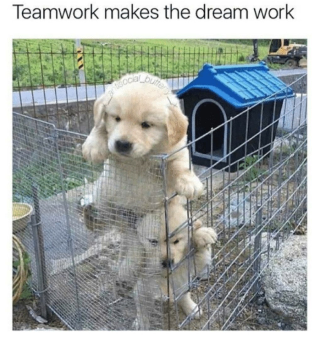 teamwork-memes-teamwork puppies - Teamwork makes the dream work social bu7
