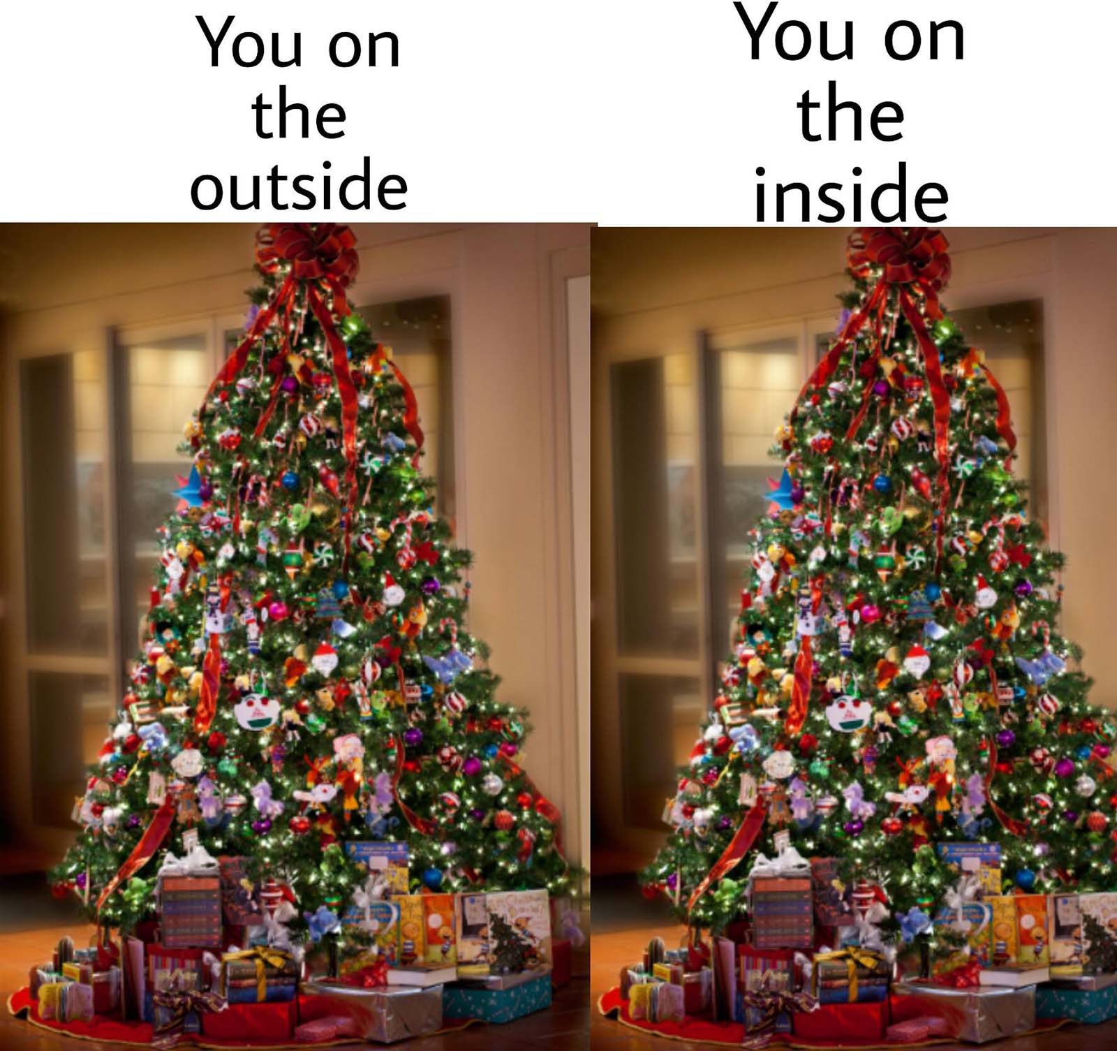 funny 2020 chirstmas memes - christmas tree meme - You on the You on the inside outside f