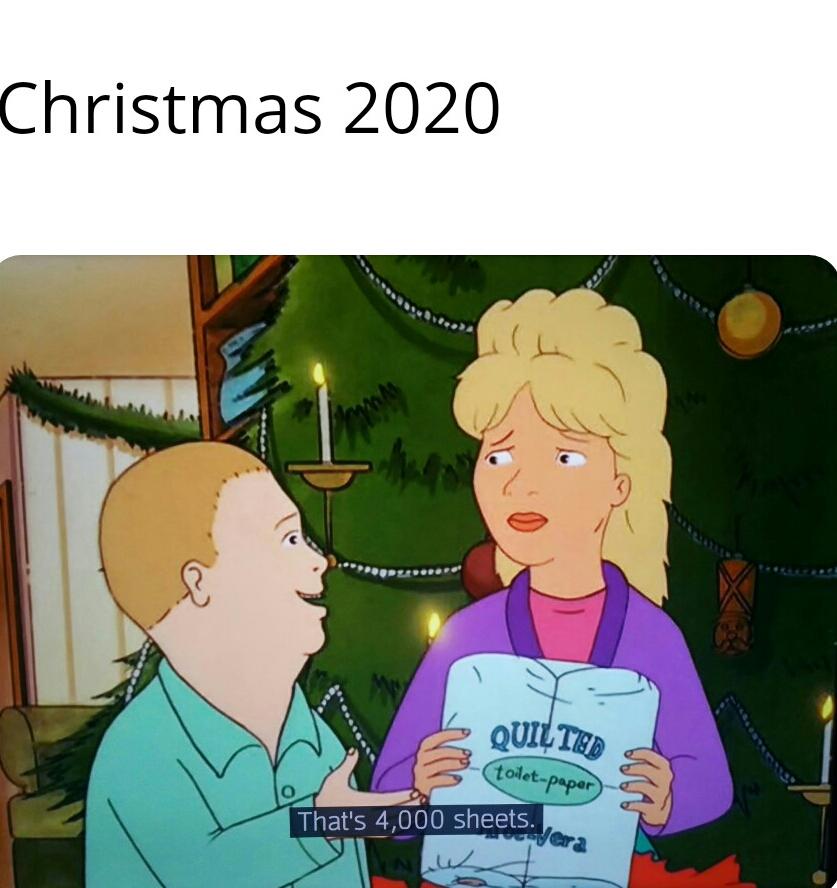 funny 2020 chirstmas memes - christmas memes 2020 - Christmas 2020 w Quilted toiletpaper o That's 4,000 sheets. Vera
