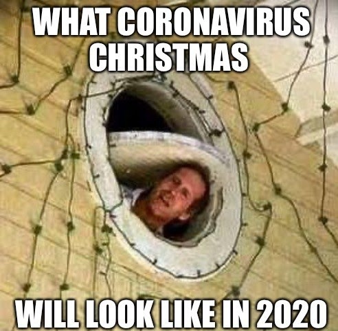 funny 2020 chirstmas memes - christmas 2020 meme covid - What Coronavirus Christmas Will Look In 2020