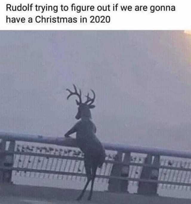funny 2020 chirstmas memes - christmas memes 2020 - Rudolf trying to figure out if we are gonna have a Christmas in 2020
