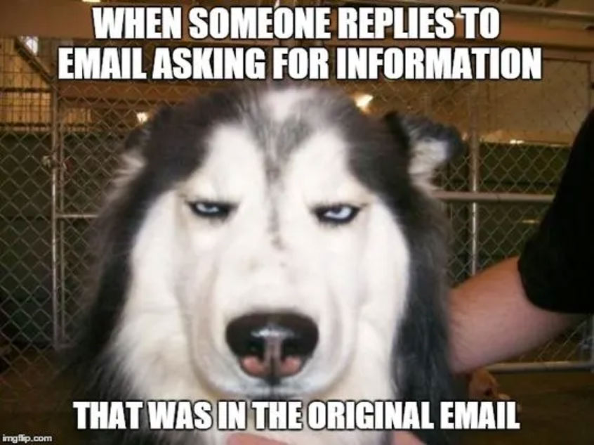 clean work memes - skeptical dog is skeptical  When Someone Replies To Email Asking For Information That Was In The Original Email imgflip.com