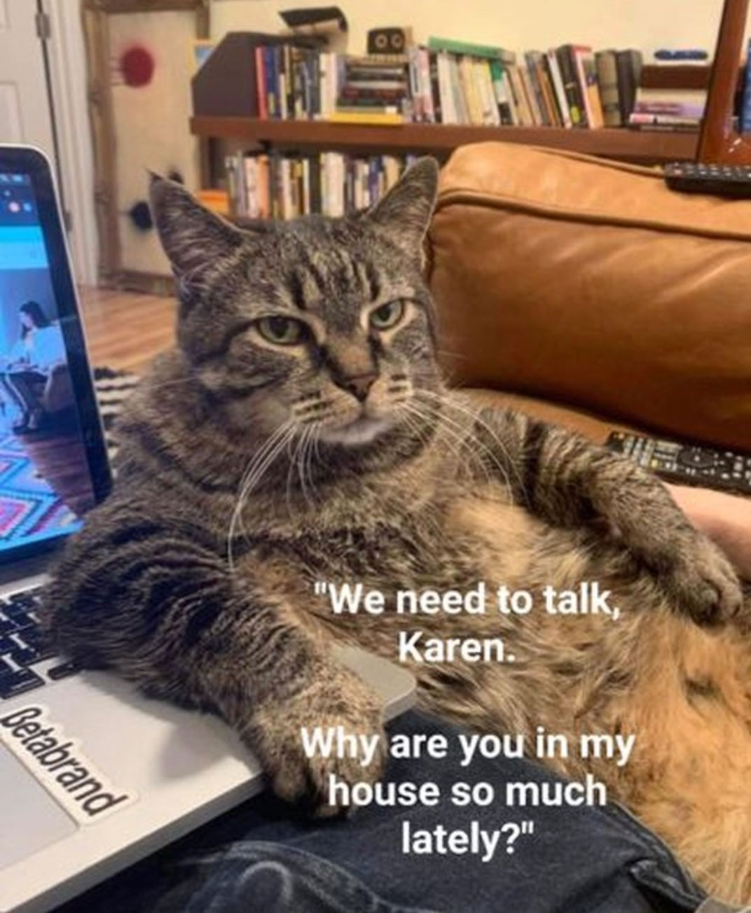 clean work memes - we need to talk karen - "We need to talk, Karen. Betabrand Why are you in my house so much lately?"