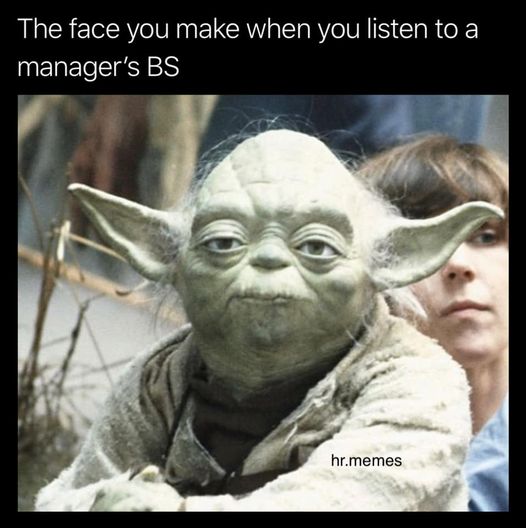 clean work memes - frank oz star wars - The face you make when you listen to a manager's Bs hr.memes