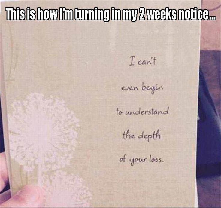 clean work memes - funny work notice - This is how I'm turning in my 2 weeks notice... I can't even begin to understand the depth of f your loss.