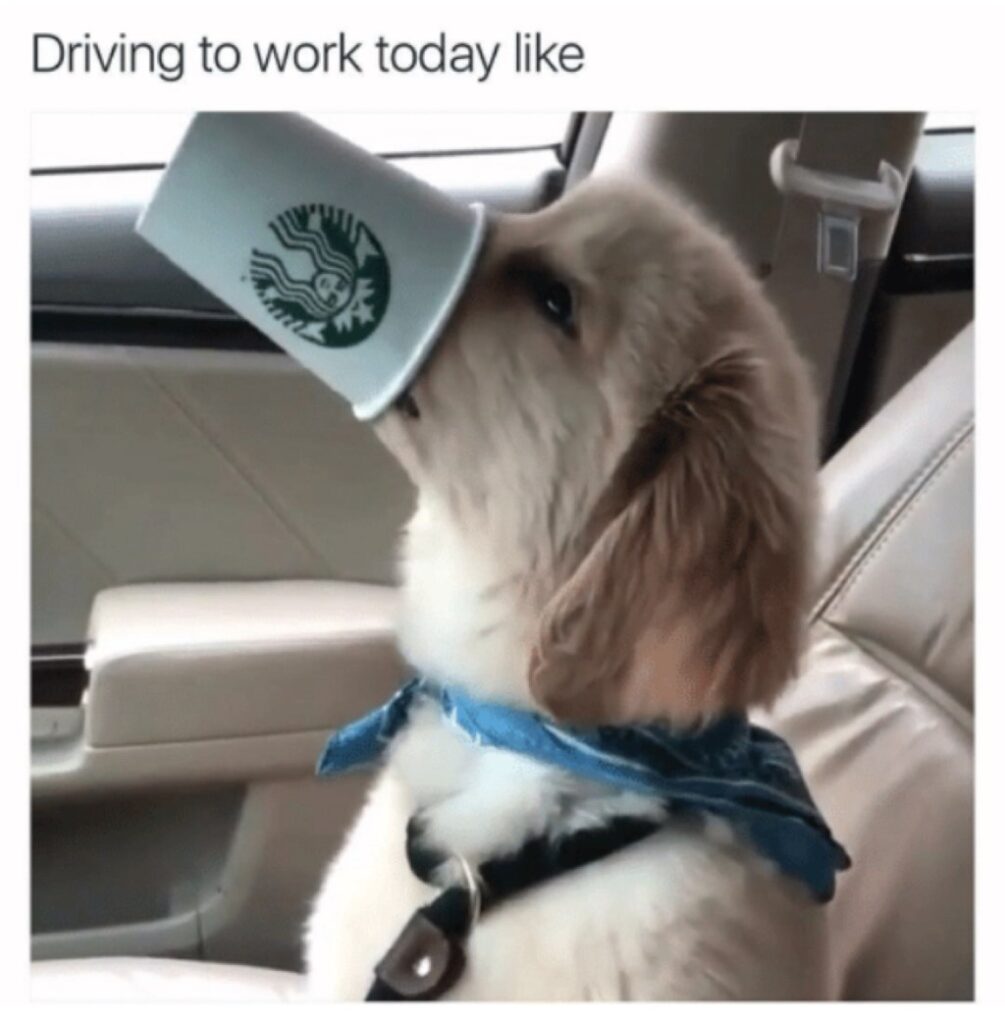 work memes -  Driving to work today