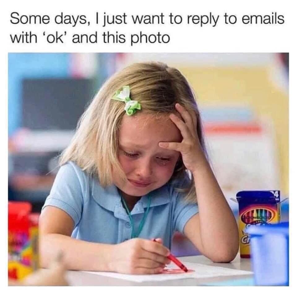 work memes -  Some days, I just want to to emails with 'ok' and this photo