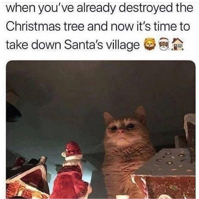 christmas 2020 memes - cat christmas tree meme - when you've already destroyed the Christmas tree and now it's time to take down Santa's village