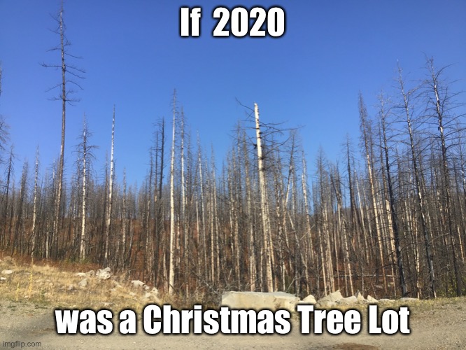 christmas 2020 memes - sky - If 2020 was a Christmas Tree Lot imgflip.com