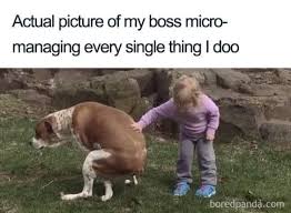 work memes about your boss - actual picture of my boss micromanaging - Actual picture of my boss micro managing every single thing I doo boredpande.com