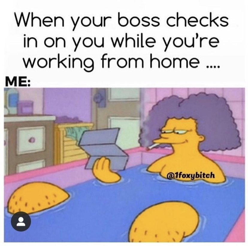 happy work memes - cartoon - When your boss checks in on you while you're working from home .... Me Puls