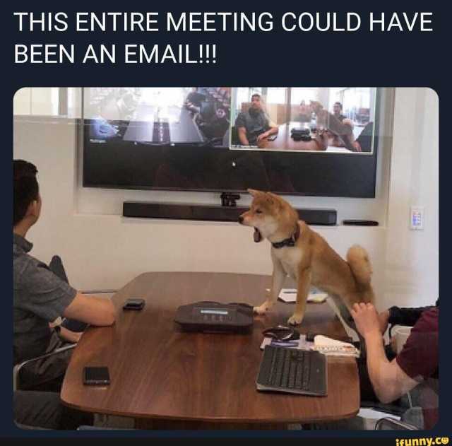 happy work memes - meeting could have been an email - This Entire Meeting Could Have Been An Email!!! ifunny.co