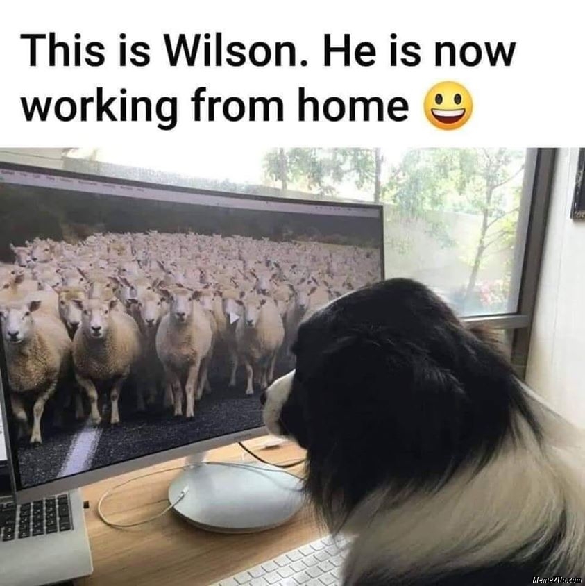 happy work memes - wilson working from home - This is Wilson. He is now working from home Memezi.com