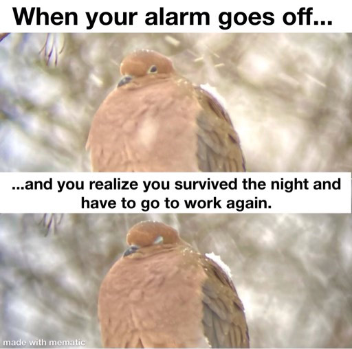 happy work memes - fauna - When your alarm goes off... ...and you realize you survived the night and have to go to work again. made with mematic