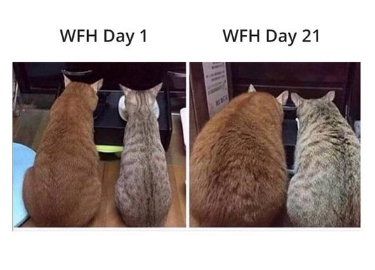 happy work memes - keanu big chungus chonkers - Weh Day 1 Wfh Day 21