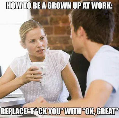 crazy-office-memes grownup at work meme - How To Be A Grown Up At Work ReplacefCk Youp Withok, Great