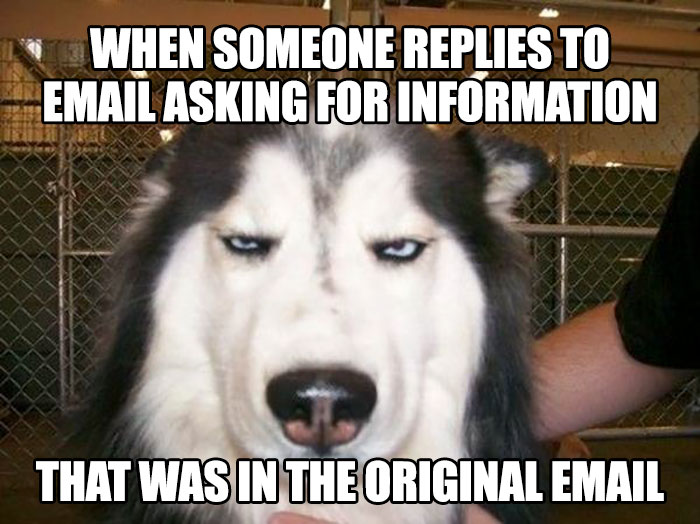 crazy-office-memes office humour memes - When Someone Replies To Email Asking For Information That Was In The Original Email