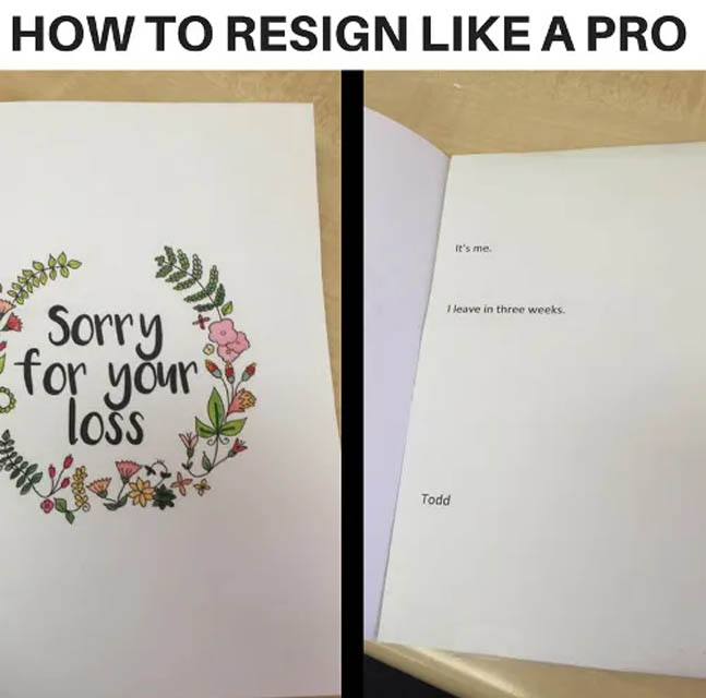 crazy-office-memes quit your job like a pro - How To Resign A Pro It's me. 1 leave in three weeks. e Sorry for your los Todd