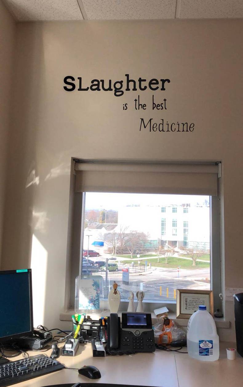 random pics - window covering - Slaughter the best Medicine S