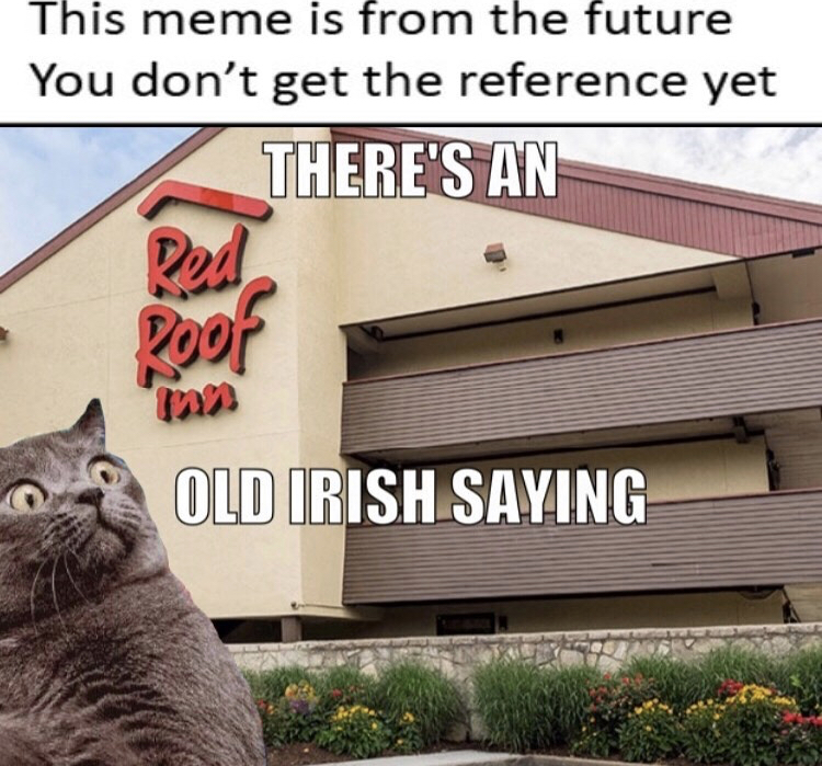 hugeplateofketchup8 - jackson weimer - cat - This meme is from the future You don't get the reference yet There'S An Roof Old Irish Saying