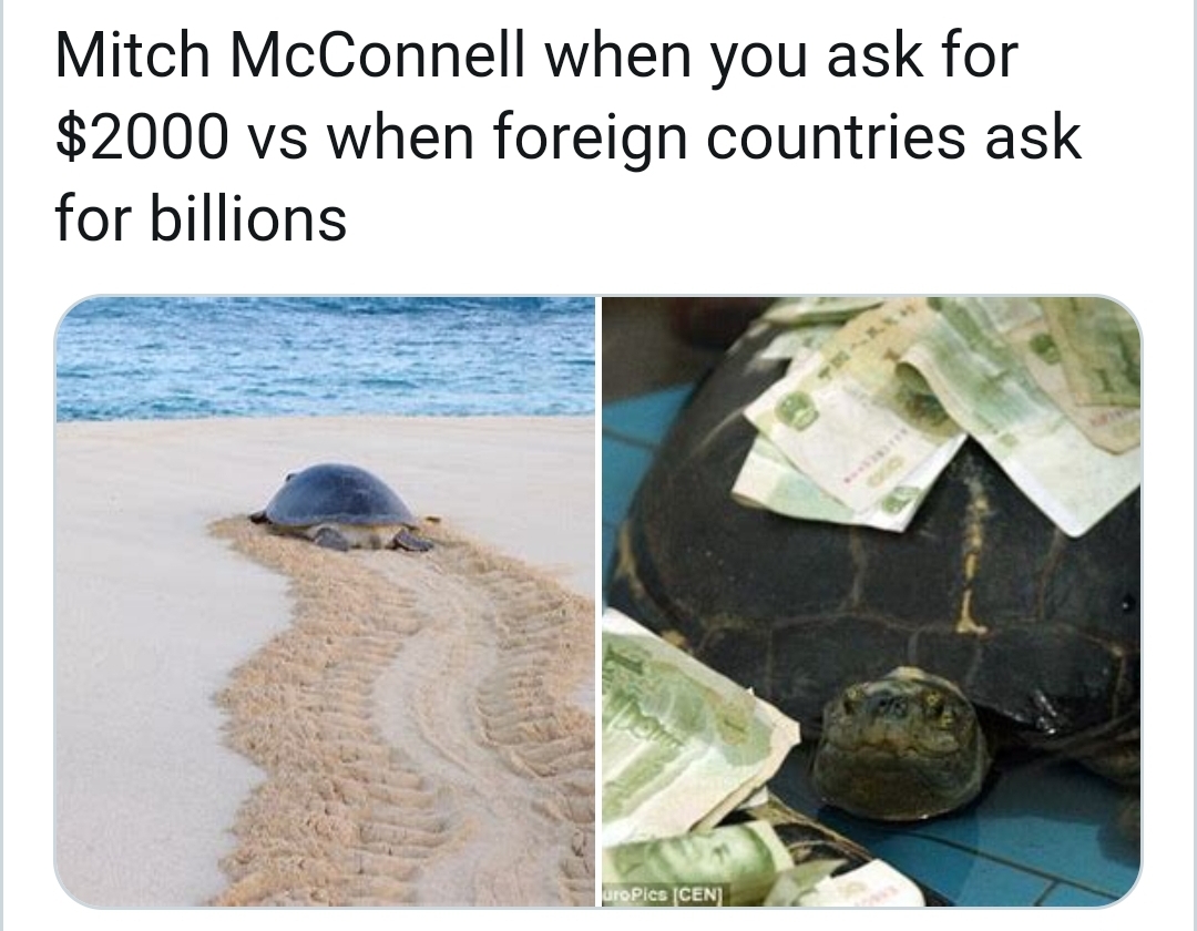 fauna - Mitch McConnell when you ask for $2000 vs when foreign countries ask for billions uroPics Cen