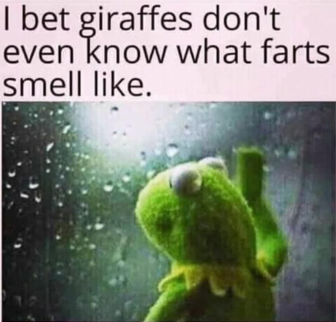 bet giraffes don t even know - I bet giraffes don't even know what farts smell .