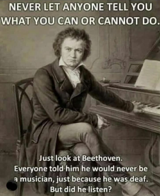 beethoven funny - Never Let Anyone Tell You What You Can Or Cannot Do. Just look at Beethoven. Everyone told him he would never be a musician, just because he was deaf. But did he listen?