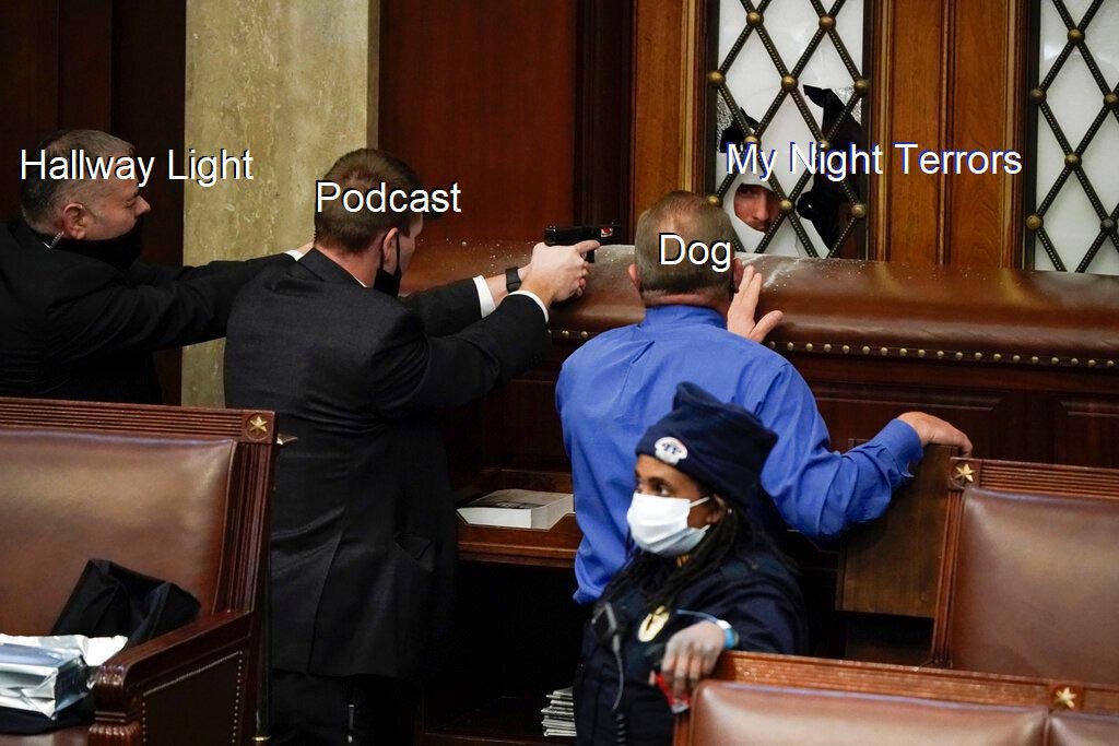 us capitol breach memes - United States Capitol - Hallway Light My Night Terrors Podcast Dog
