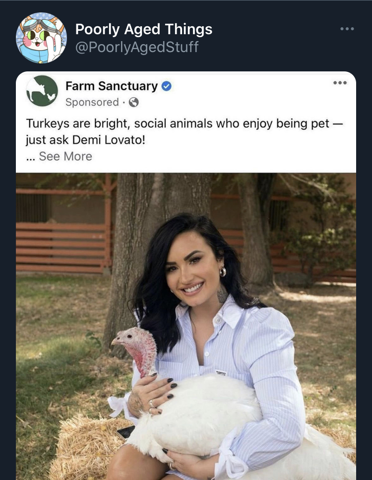 poorly aged stuff - demi lovato turkey - Poorly Aged Things Farm Sanctuary Sponsored Turkeys are bright, social animals who enjoy being pet just ask Demi Lovato! ... See More