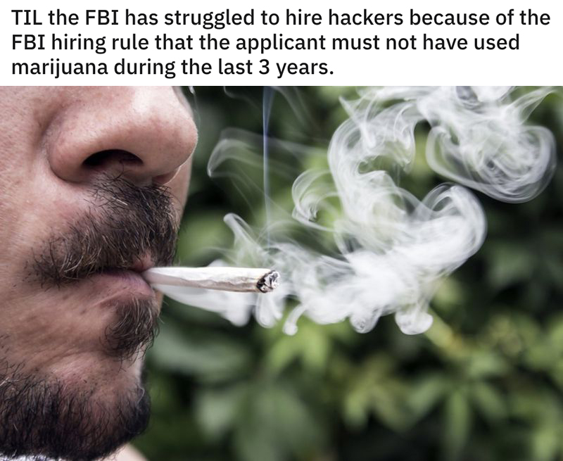 reddit today I learned posts - Til the Fbi has struggled to hire hackers because of the Fbi hiring rule that the applicant must not have used marijuana during the last 3 years.