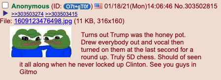 donald trump conspiracy theories - Turns out Trump was the honey pot. Drew everybody out and vocal then turned on them at the last second for a round up. Truly 5D chess.