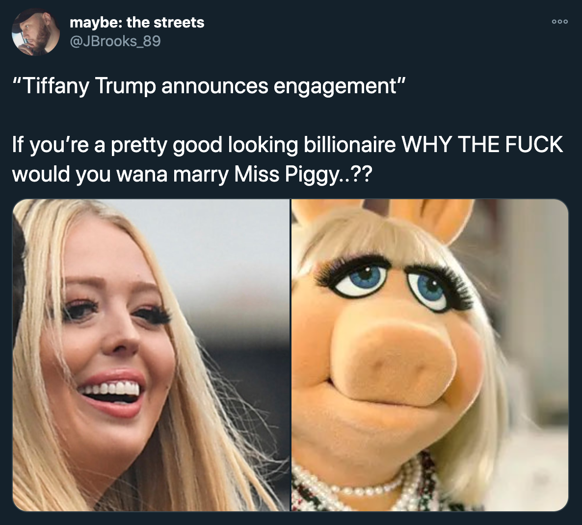 tiffany trump engagement - tiffany trump announces engagement. If you're a pretty good looking billionaire why the fuck would you wanna marry miss piggy?