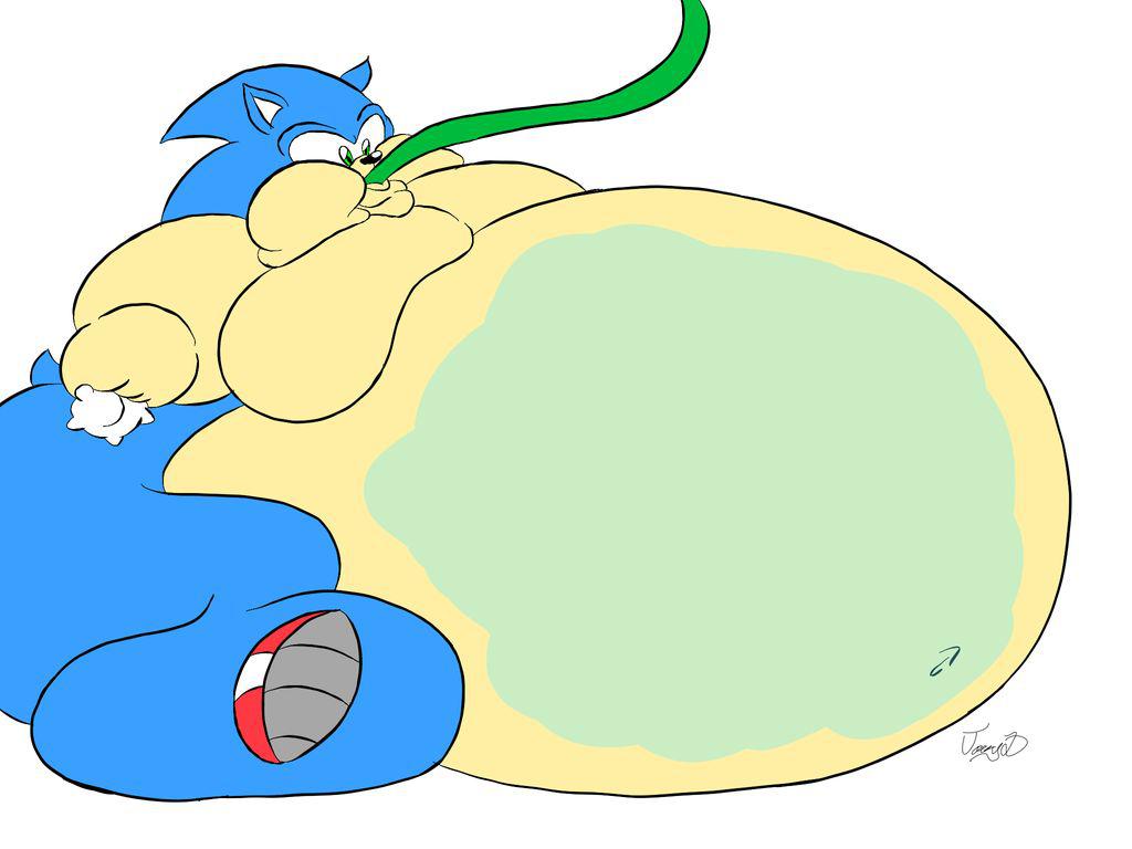 fat sonic exe