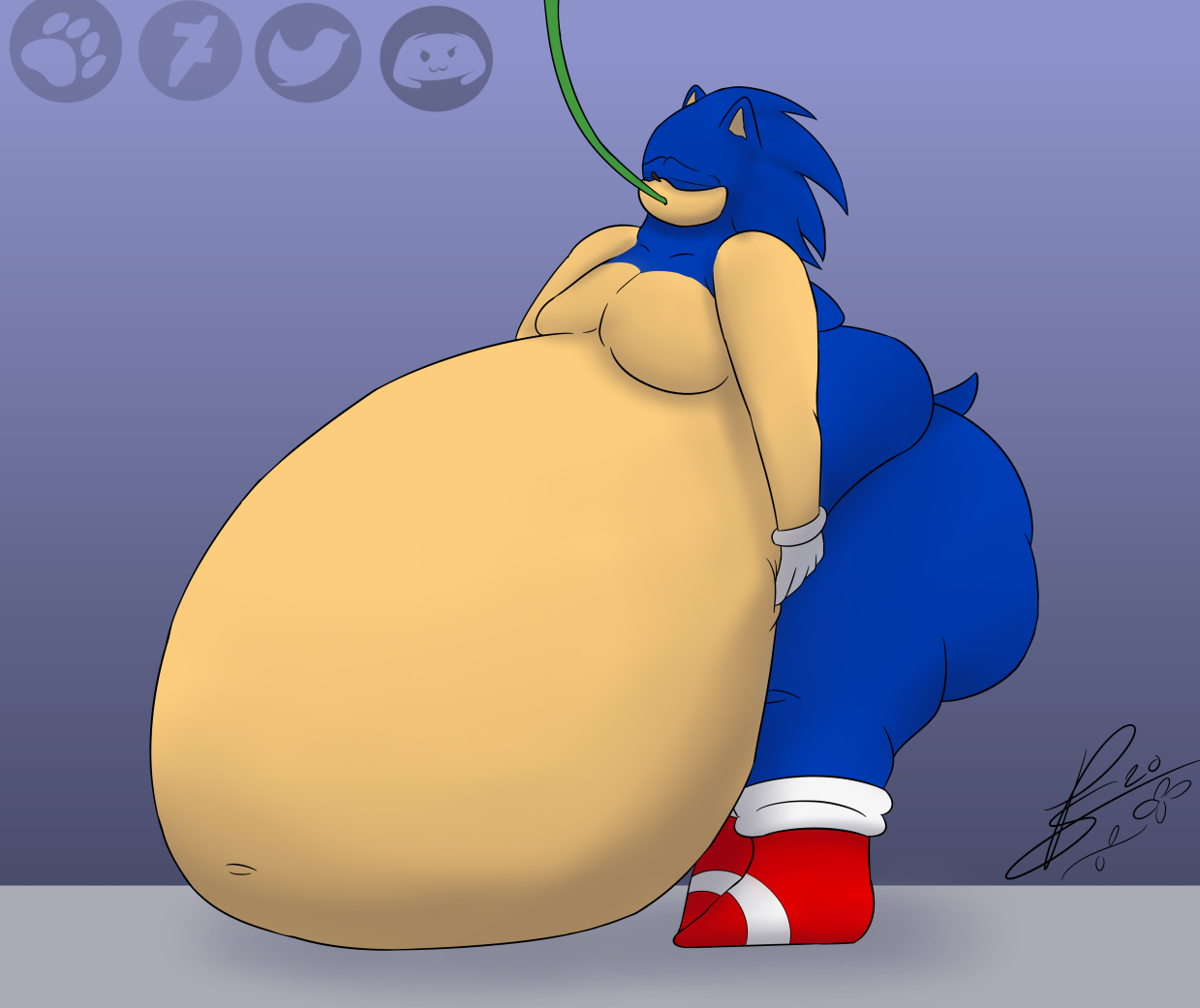 Sonic rule 34 inflation