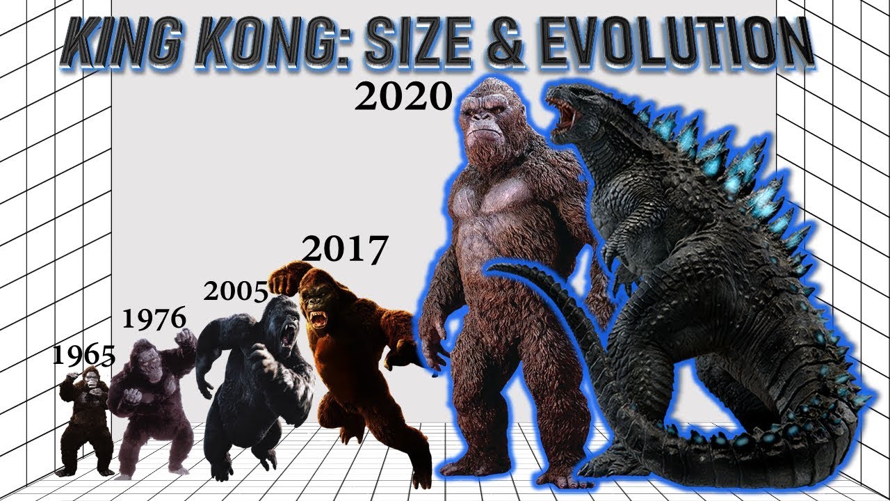 king kong size - King Kong Size & Evolution 2020 2017 2005 1976 1965