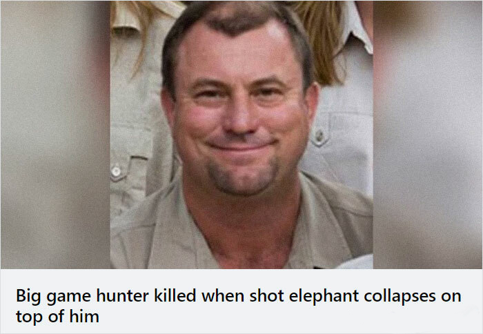funny instant karma - Big game hunter killed when shot elephant collapses top of him
