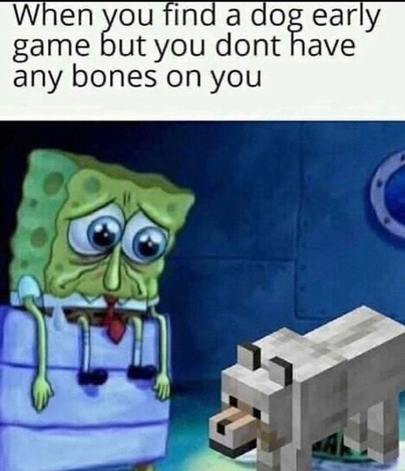 gaming memes and pics - spongebob sad gary bowl - When you find a dog early game but you dont have any bones on you