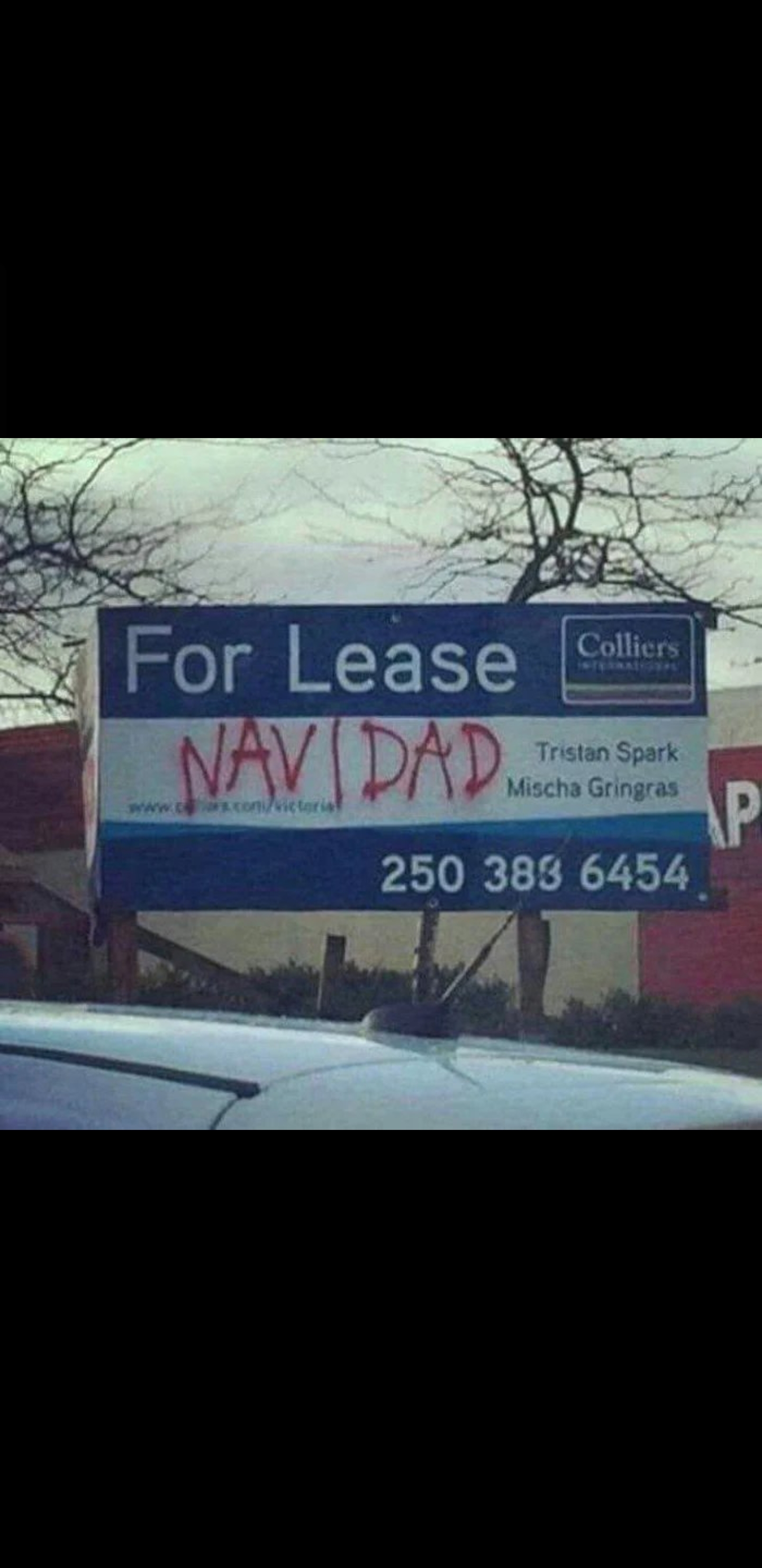 lease navidad - Colliers For Lease Nav Padi Tristan Spark Mischa Gringas 250 383 6454