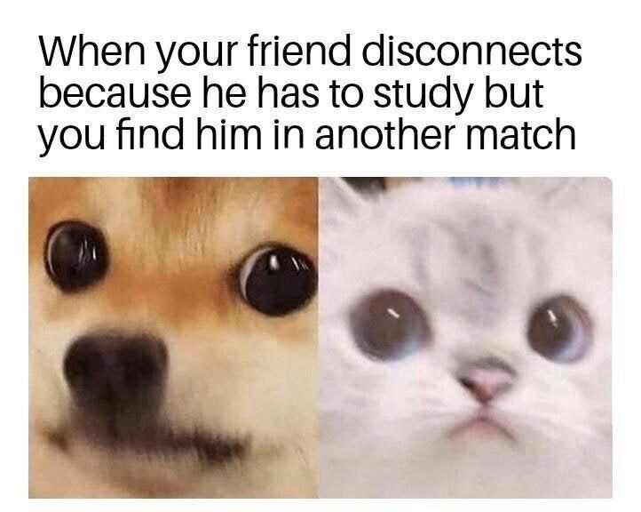 you finally meet and you both shy - When your friend disconnects because he has to study but you find him in another match
