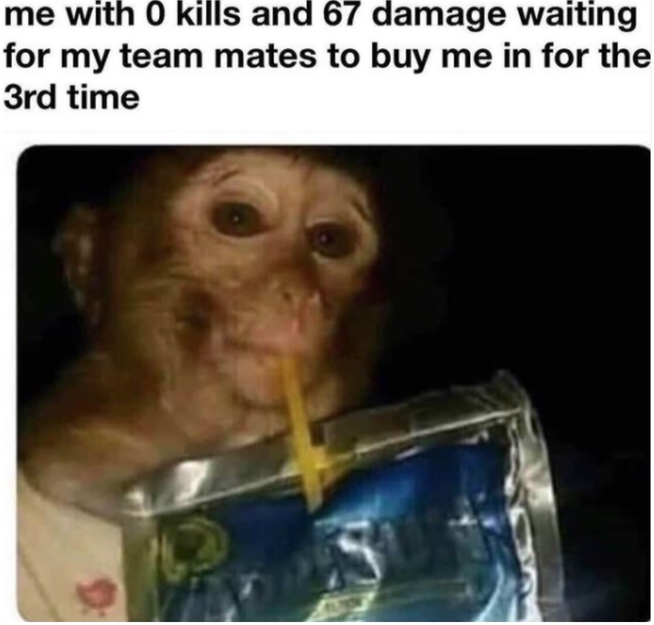 monkey drinking capri sun - me with 0 kills and 67 damage waiting for my team mates to buy me in for the 3rd time