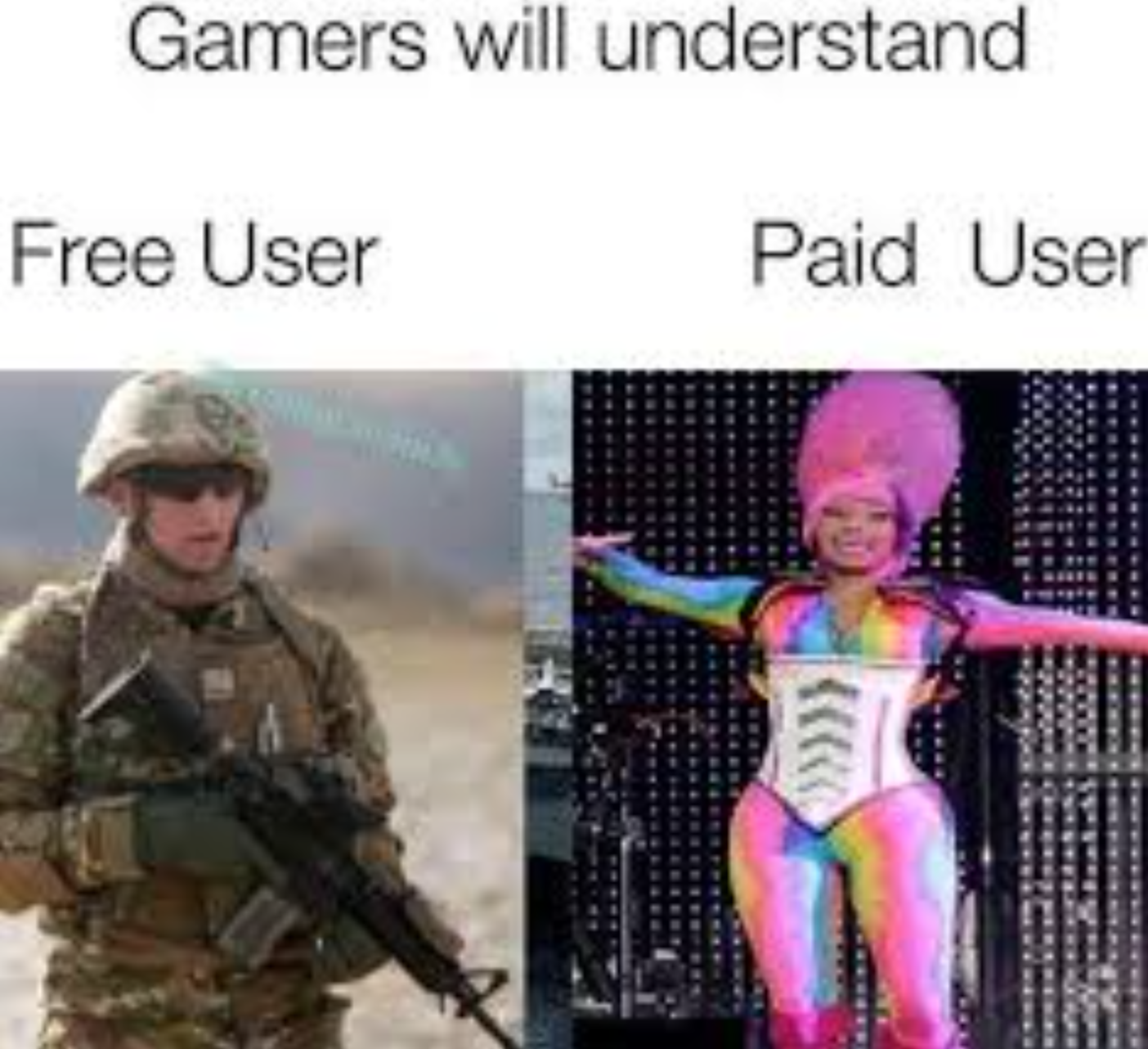 gaming memes - Gamers will understand Free User Paid User