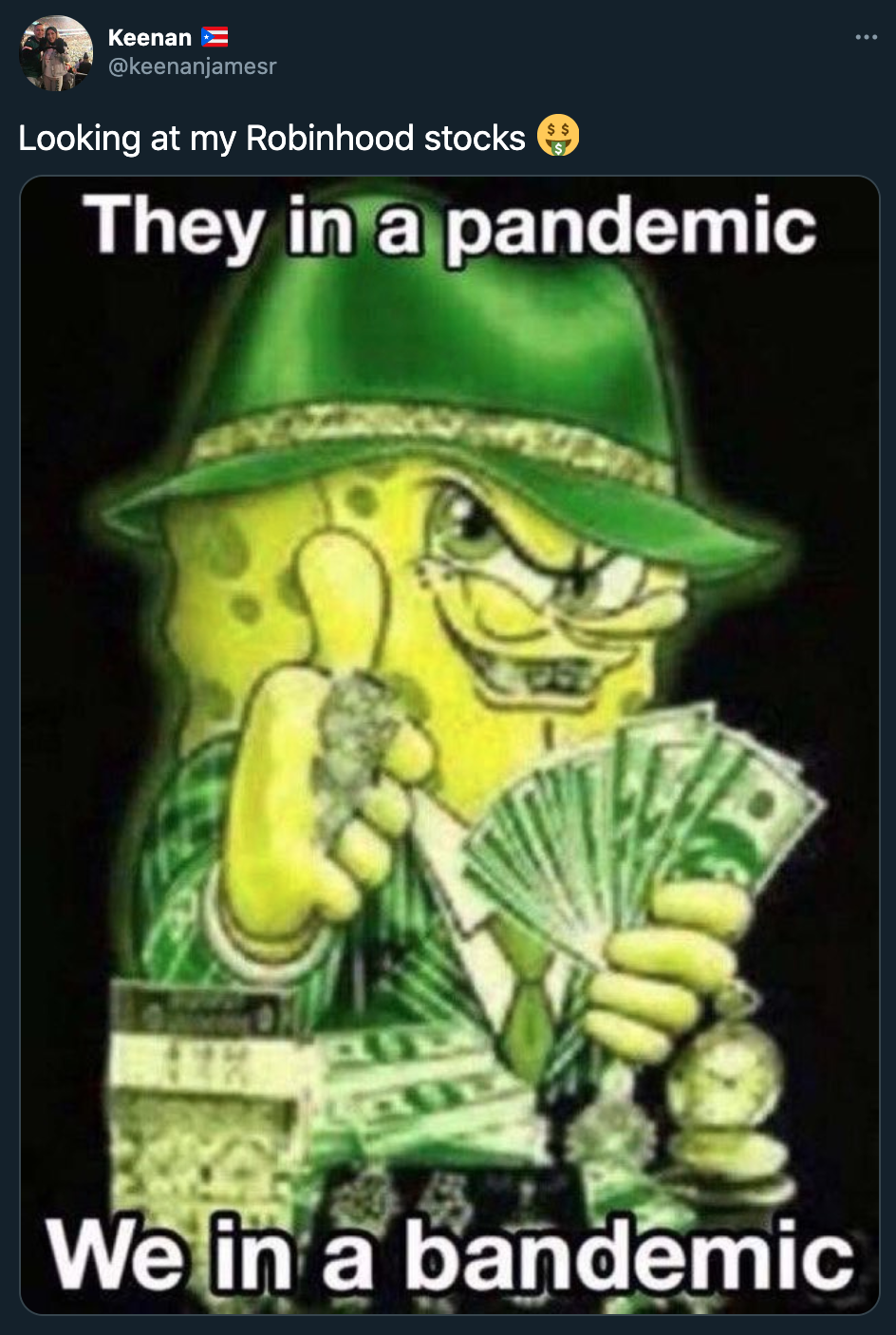 funny gamestop stock jokes - Looking at my Robinhood stocks They in a pandemic We in a bandemic