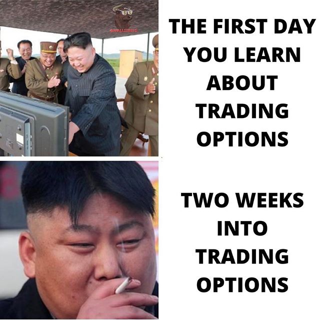 wall street bets meme - The First Day You Learn About Trading Options Two Weeks Into Trading Options