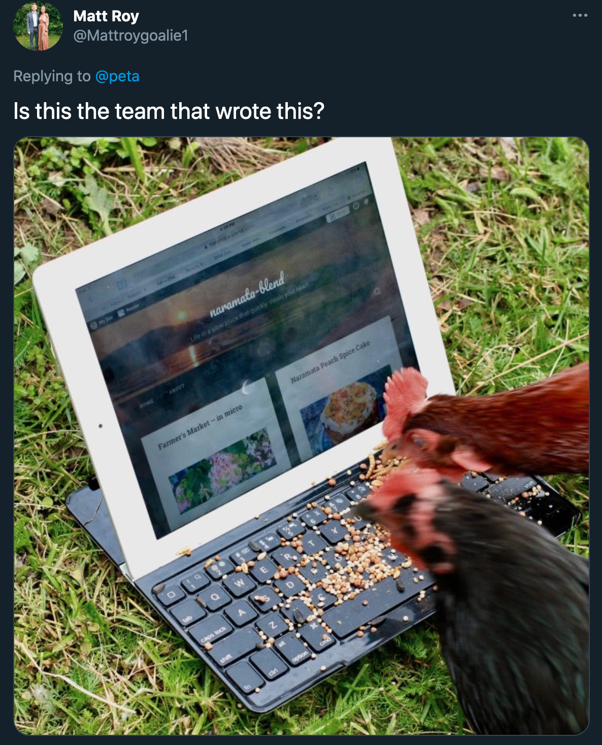 peta roast jokes - Is this the team that wrote this? - chickens typing on a computer